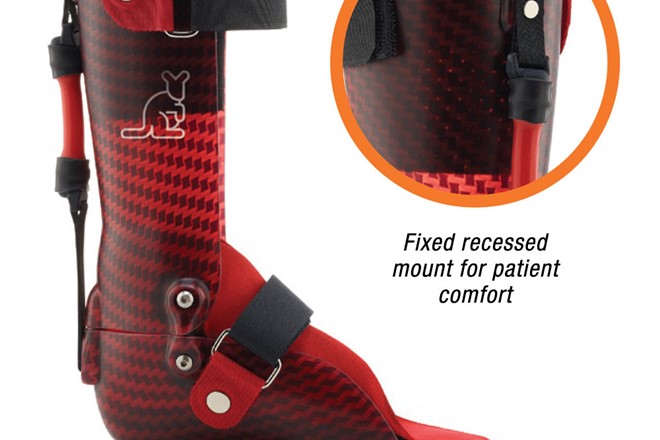 Bounders DS Brace 1000X1000 (1)